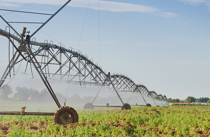 过滤器：高效农业喷洒作业中的幕后守护者