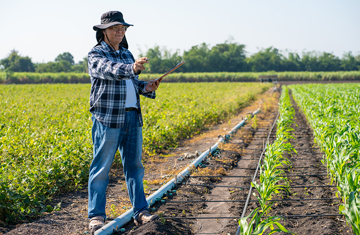 分流器的核心优势：提升作业效率、安全性与可持续性