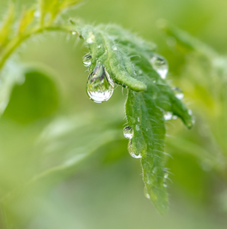 金华双鼎机械有限公司