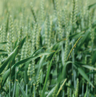 金华双鼎机械有限公司