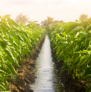 金华双鼎机械有限公司